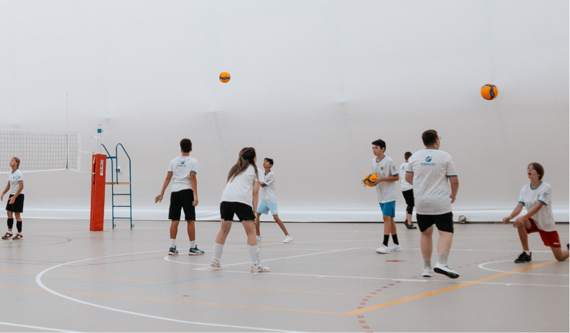 Интегральная подготовка в волейболе: цели, задачи, средства