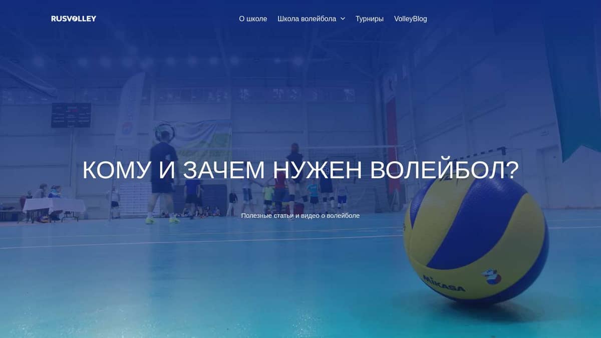 Кому и зачем нужен волейбол? | VolleyBlog