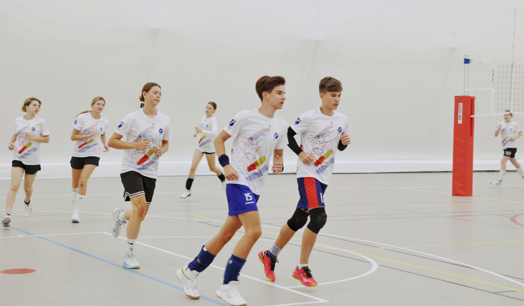 Суставная и динамическая разминка в волейболе