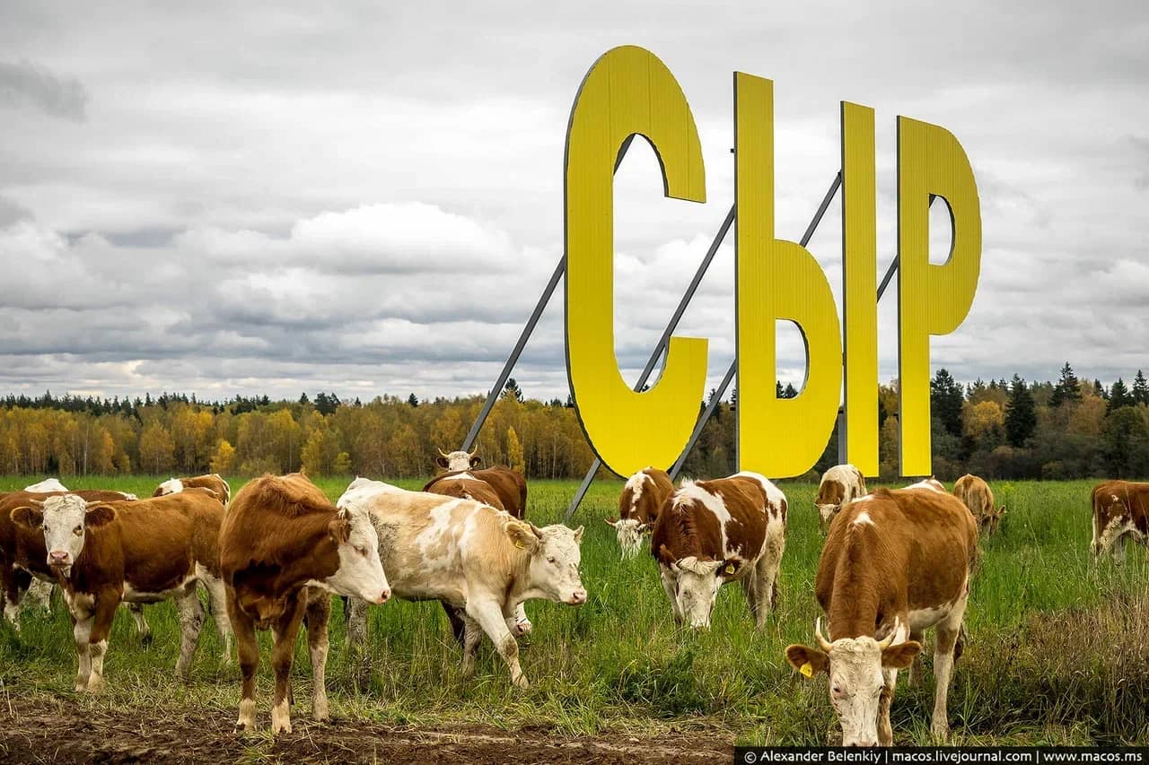 Портрет человека