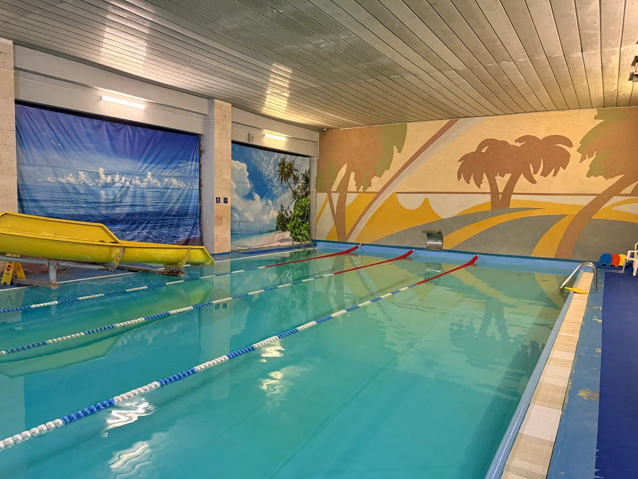 Портрет человека